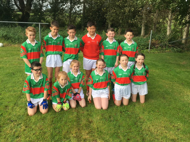 Cumann na mBunscol Blitz