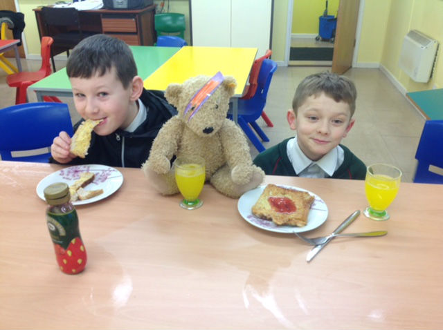 Keep up to date with Alex the Bear